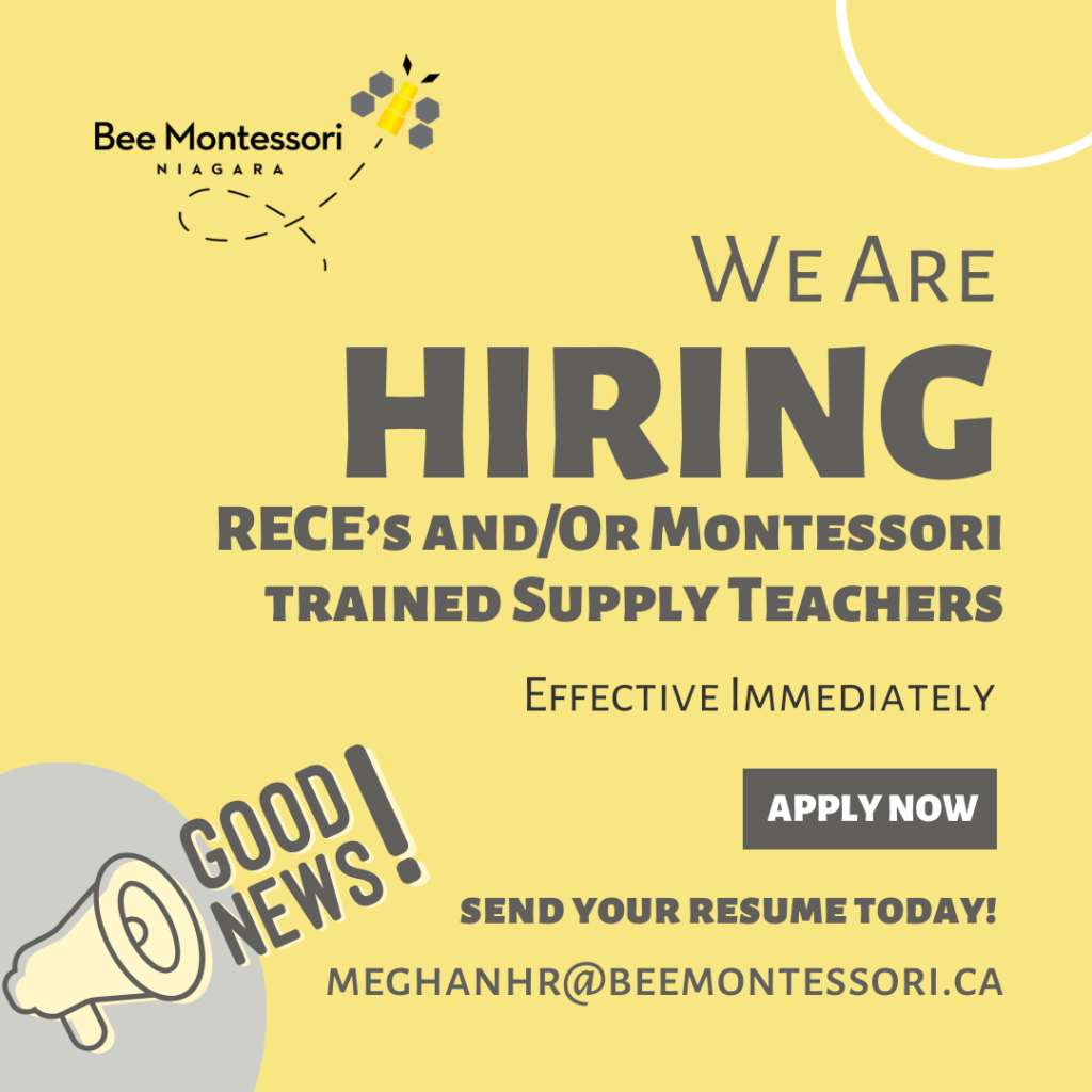 image - Montessori Teachers College - MACTE Accredited Diplomas | Workshops | Jobs Available